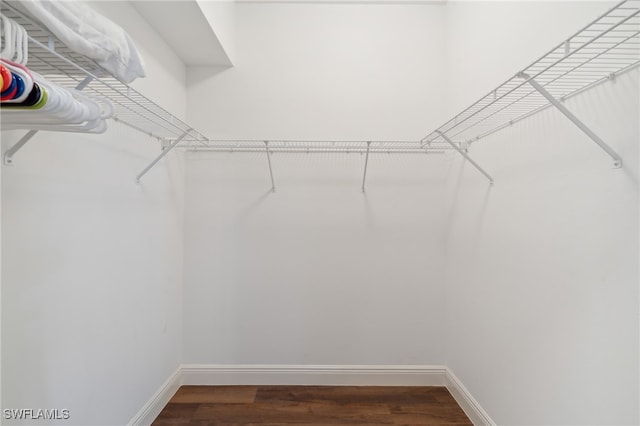 spacious closet with dark wood-type flooring