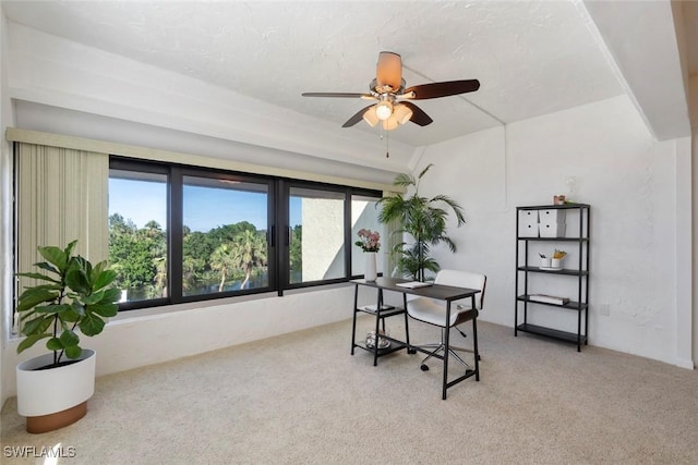 office space featuring ceiling fan and carpet floors