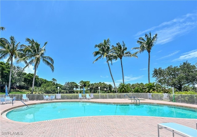 view of swimming pool featuring a patio area