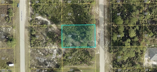 738 Chapman Ave S, Lehigh Acres FL, 33974 land for sale