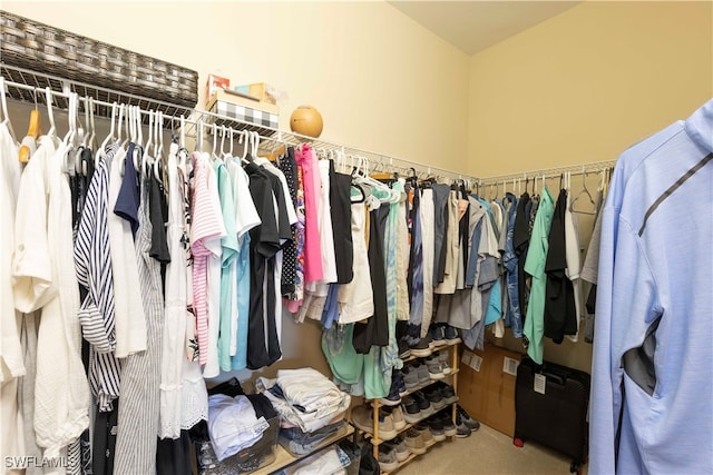 spacious closet featuring carpet