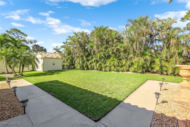 view of yard with a patio area and a storage shed