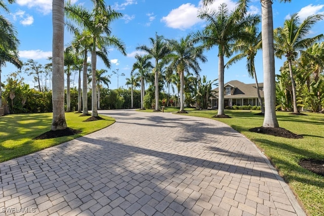 exterior space featuring a lawn