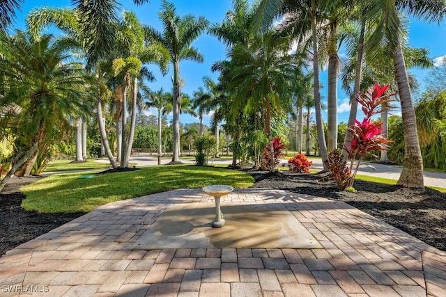 view of home's community featuring a lawn