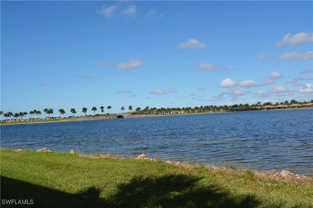 property view of water