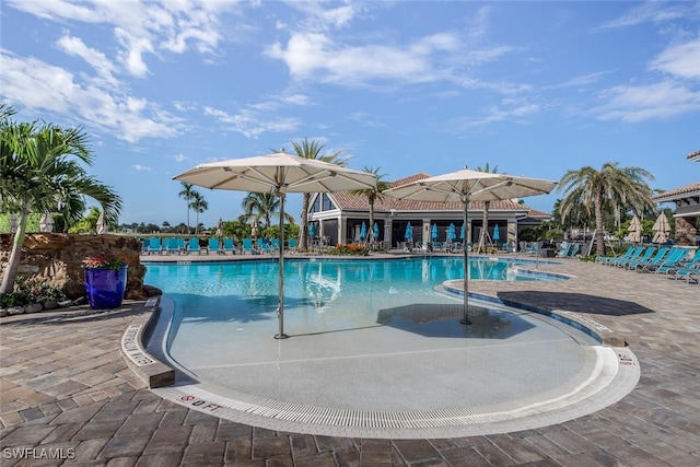 view of pool featuring a patio area