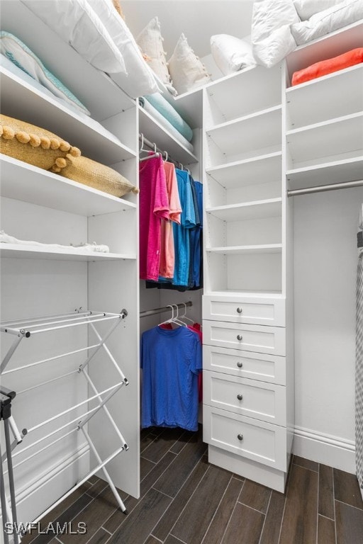 walk in closet with dark wood-type flooring