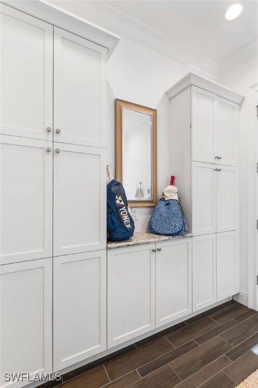 mudroom featuring ornamental molding and dark wood-type flooring