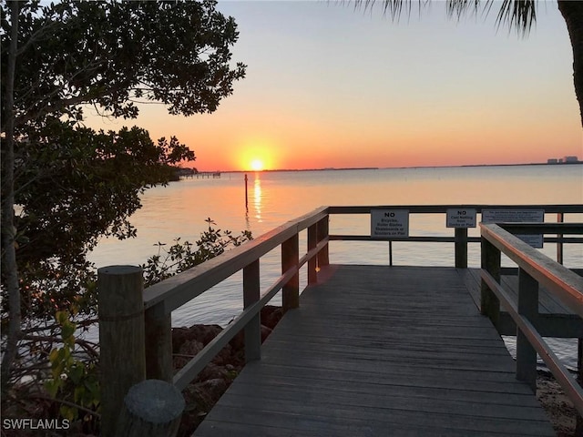 dock area with a water view