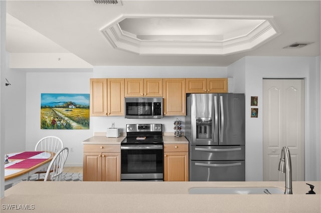 kitchen with light brown cabinetry, sink, a tray ceiling, and appliances with stainless steel finishes