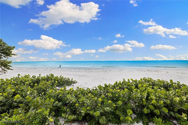 water view featuring a beach view