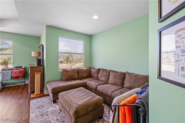 living room with wood-type flooring