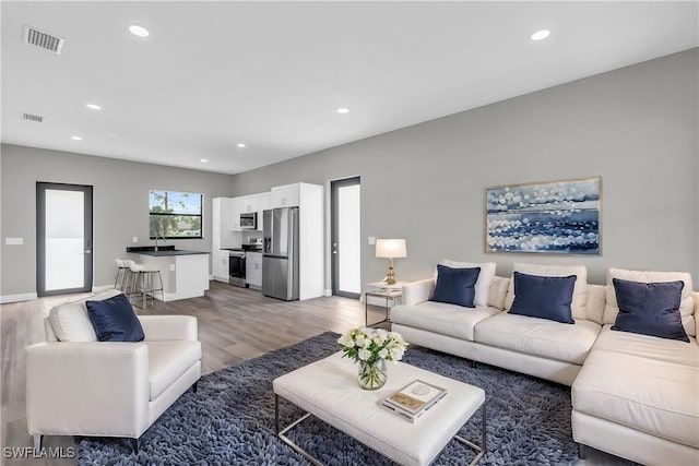 living room with hardwood / wood-style floors and sink