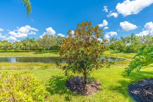 view of water feature