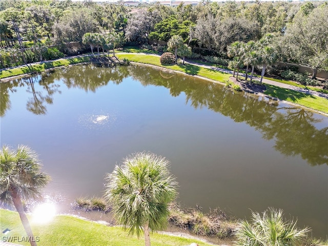 property view of water