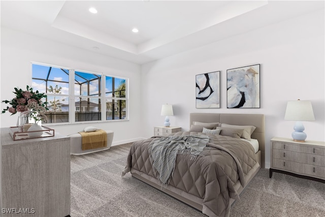 bedroom featuring carpet and a raised ceiling