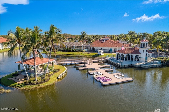 dock area with a water view