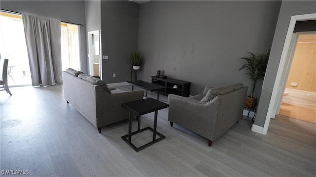 living room featuring light hardwood / wood-style flooring