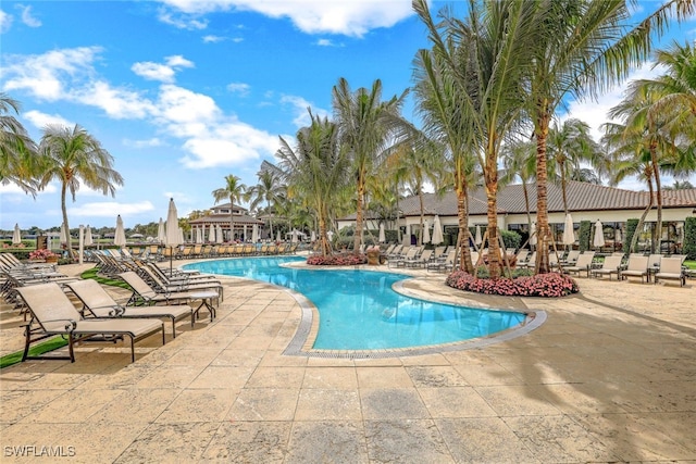 view of pool featuring a patio area