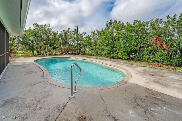 view of swimming pool with a patio area