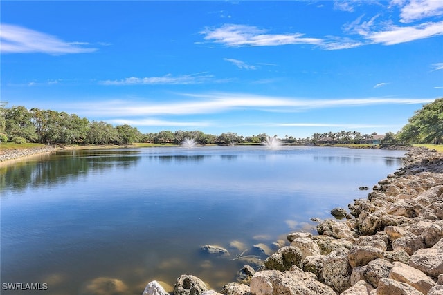 property view of water