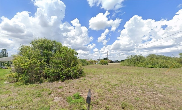 Listing photo 3 for 1329 NE 15th Ter, Cape Coral FL 33909