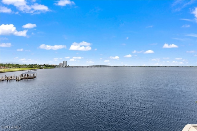 view of water feature with a dock