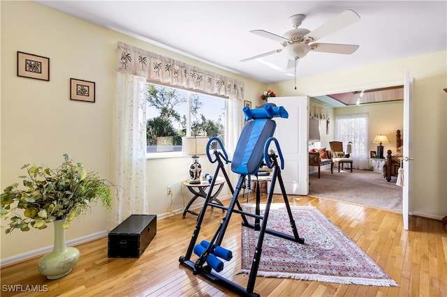 workout room with hardwood / wood-style flooring and ceiling fan