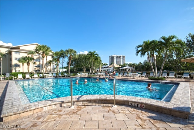 view of pool with a patio area