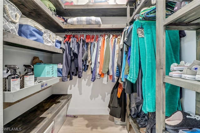 spacious closet with hardwood / wood-style flooring