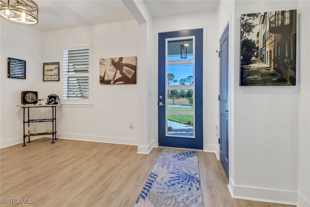 foyer entrance featuring hardwood / wood-style floors and a healthy amount of sunlight