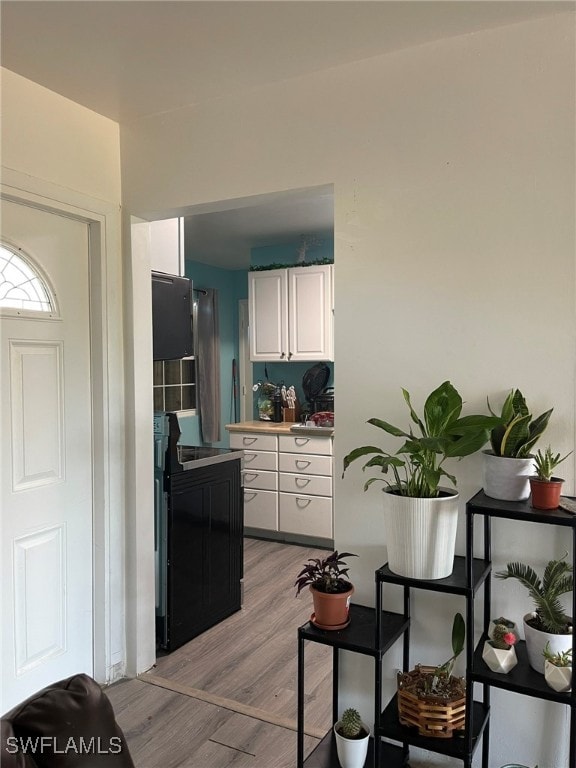 kitchen with light hardwood / wood-style floors and white cabinetry