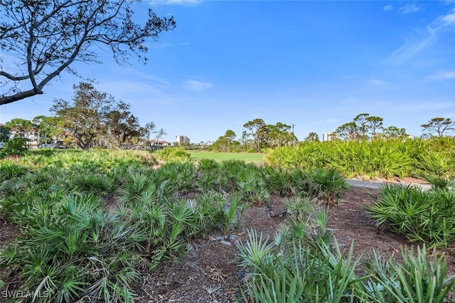 view of landscape