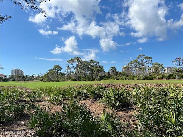 view of local wilderness