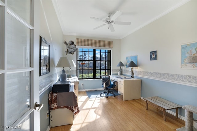 office area with ceiling fan, crown molding, and light hardwood / wood-style flooring