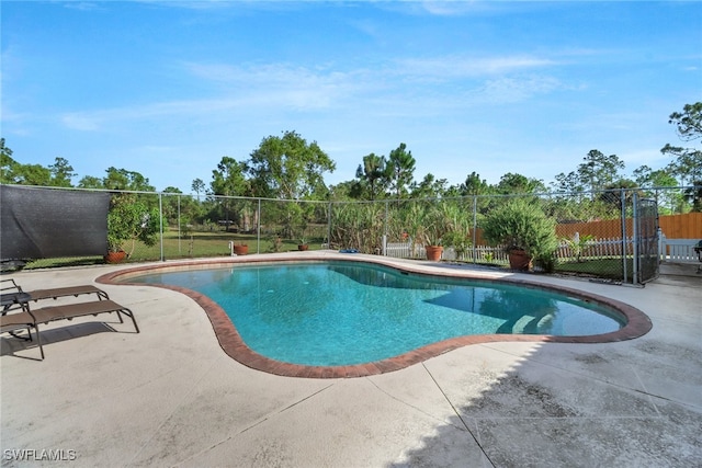 view of swimming pool with a patio