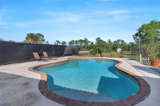 view of swimming pool featuring a patio