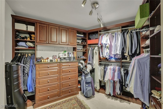 view of spacious closet