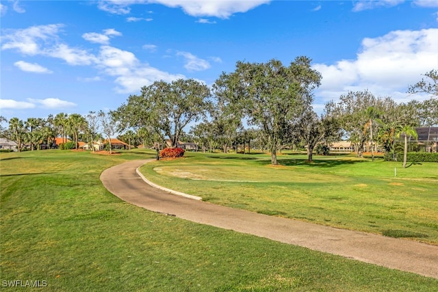 view of property's community featuring a yard