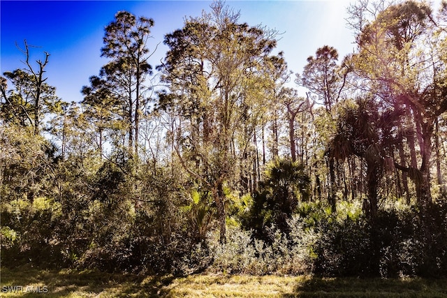 12023 Chamberlain Blvd, Port Charlotte FL, 33953 land for sale