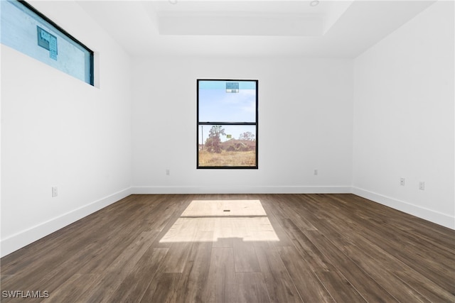 unfurnished room featuring hardwood / wood-style floors and a tray ceiling