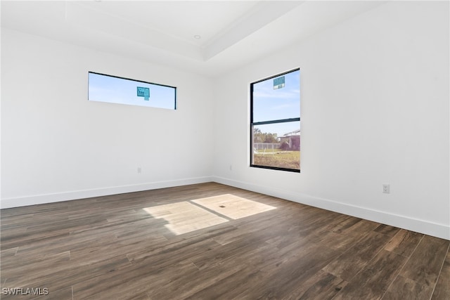 spare room with dark wood-type flooring