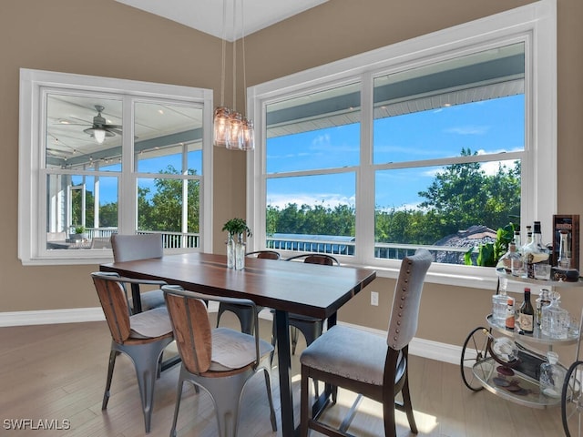 dining room featuring hardwood / wood-style floors, ceiling fan, and a healthy amount of sunlight