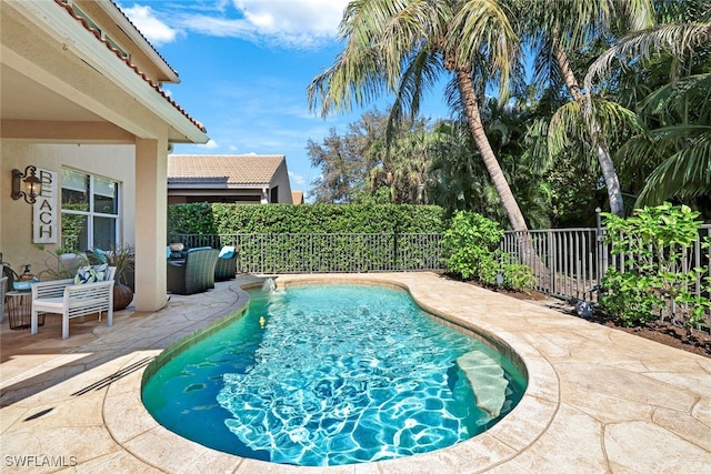 view of swimming pool with a patio area