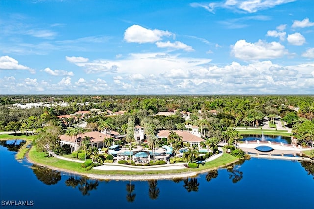 aerial view with a water view