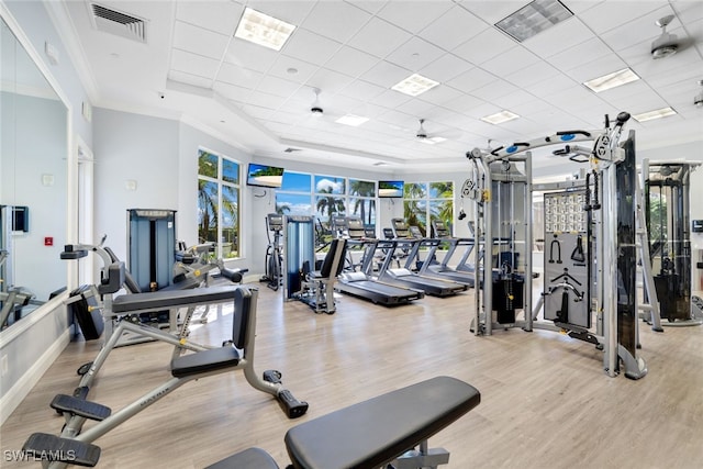 workout area featuring ornamental molding, a paneled ceiling, light hardwood / wood-style floors, and a tray ceiling