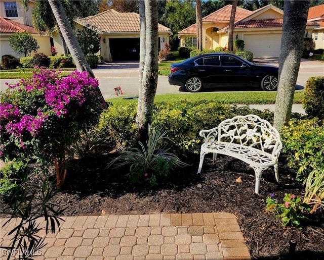 1350 Triandra Ln, Naples, FL 34119 - view of yard featuring an attached garage and concrete driveway