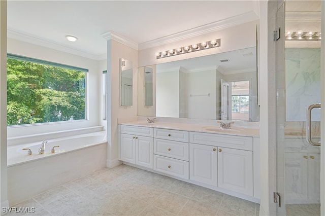 full bathroom featuring a stall shower, crown molding, and a sink