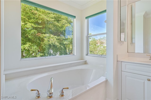 bathroom featuring a bath, vanity, and crown molding