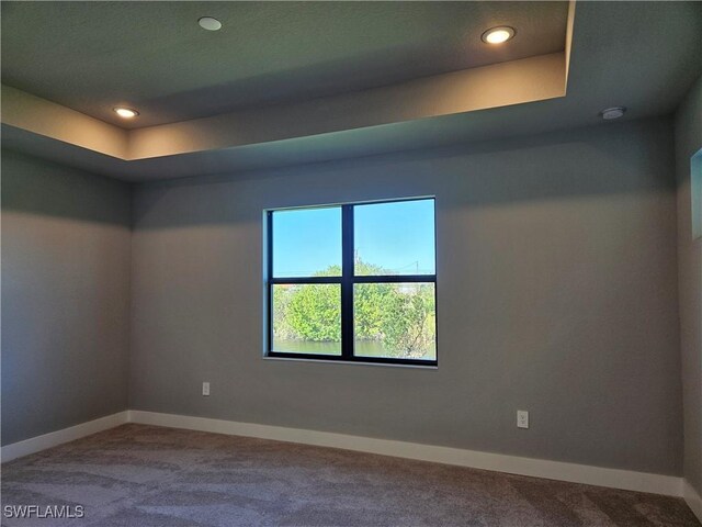 carpeted spare room featuring a raised ceiling